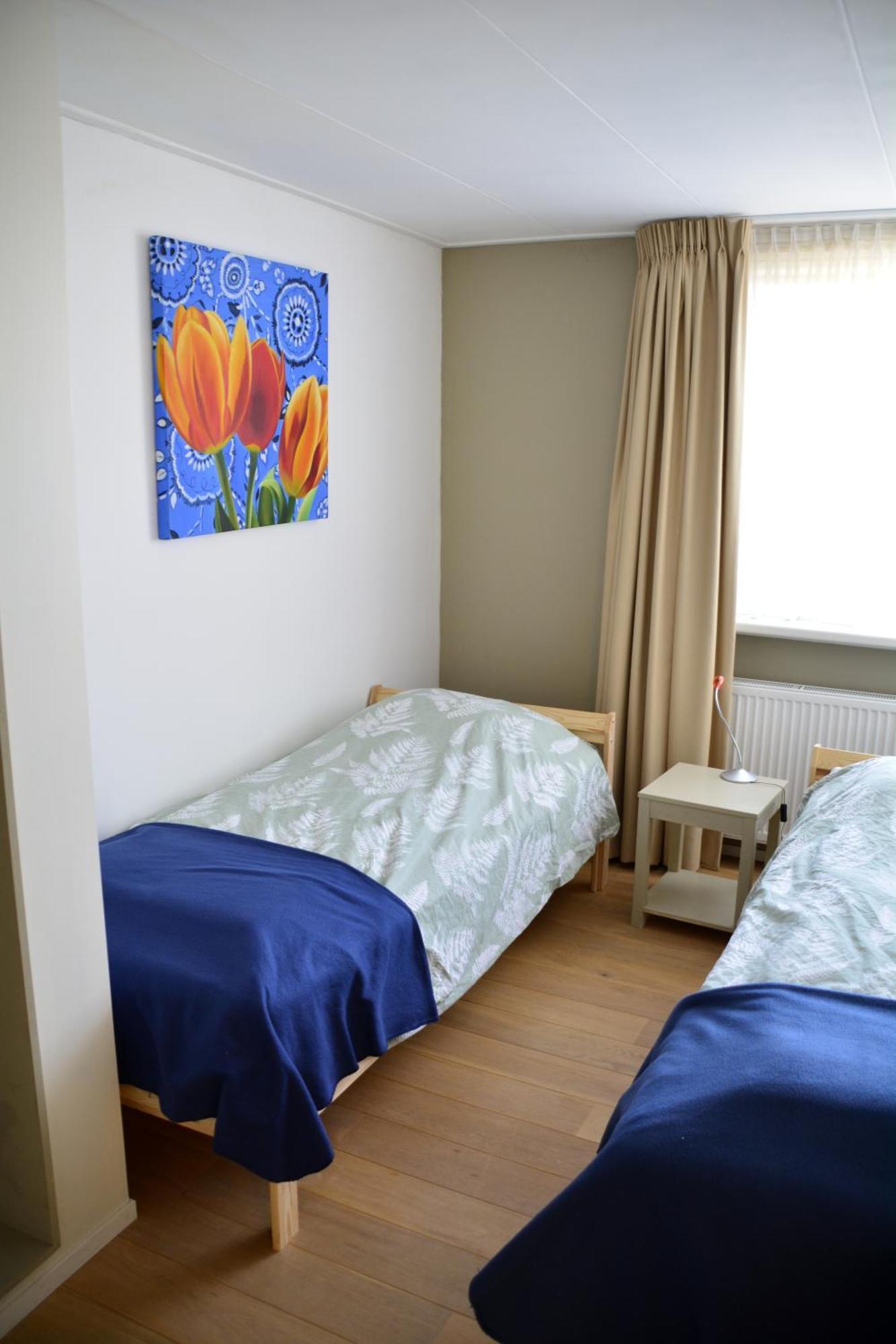 Tulpenzicht Villa De Zilk Buitenkant foto